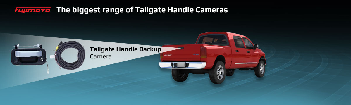 Tailgate Handle Cameras